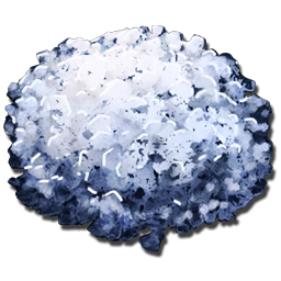 Absorbent Substrate