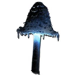 Ascerbic Mushroom