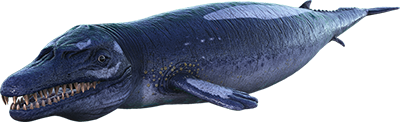 Basilosaurus