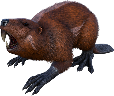 Casteroids