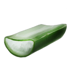 Cactus Sap