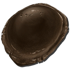 Chitin