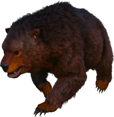 Direbear