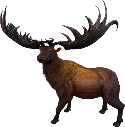 Megaloceros
