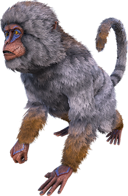 Mesopithecus