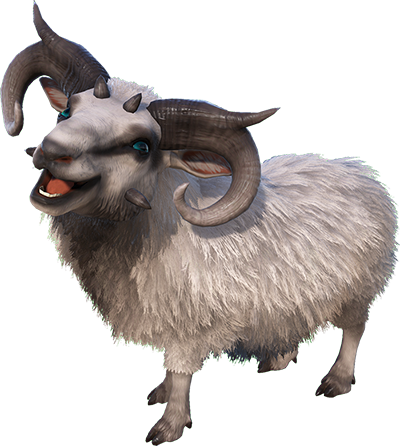 Ovis