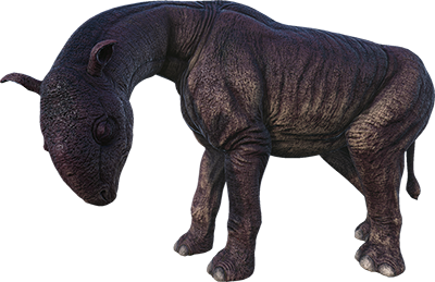 Paraceratherium