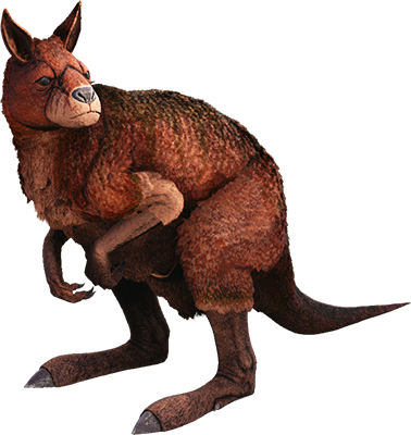 Procoptodon