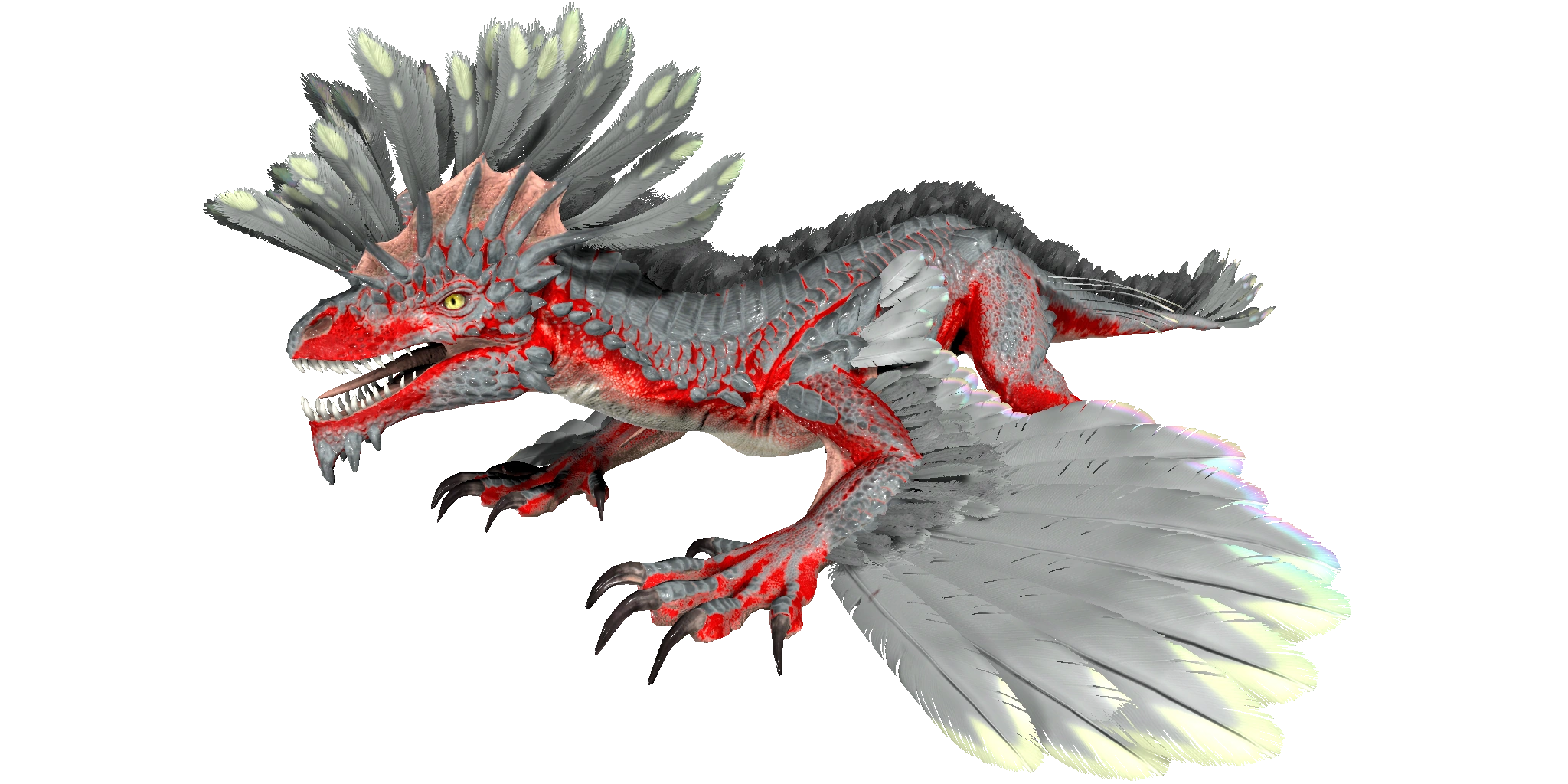 Rock Drake