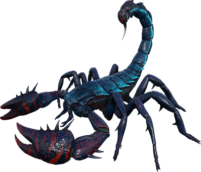 Pulminoscorpius