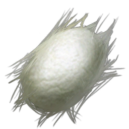 Silk