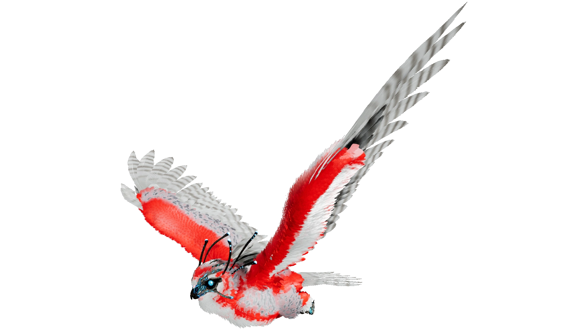 Snow Owl