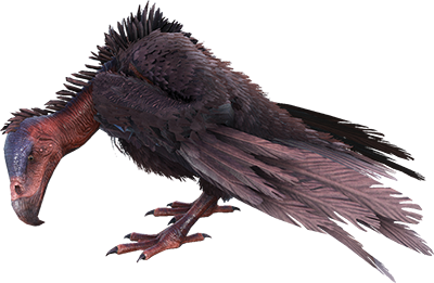 Vulture
